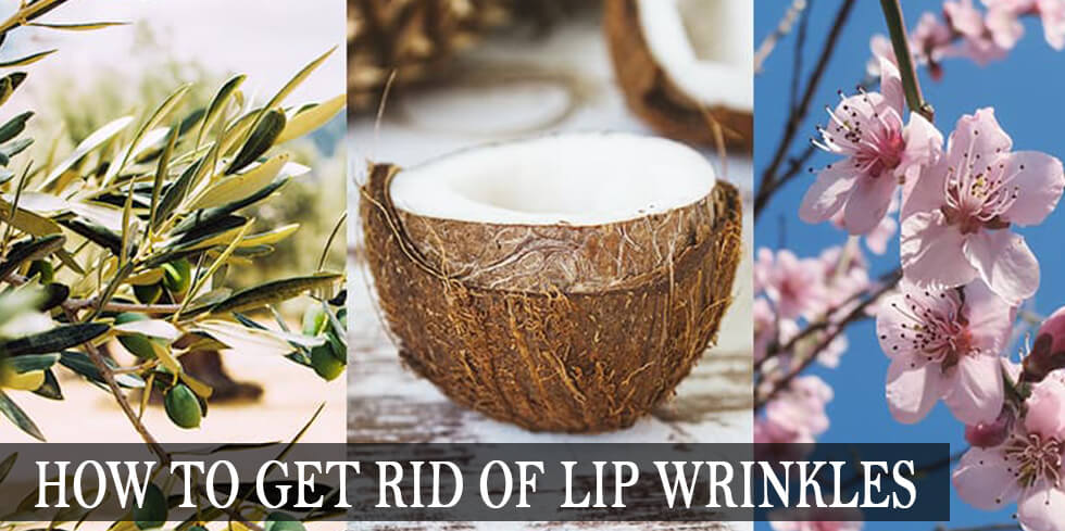 Ingredients for lip wrinkles